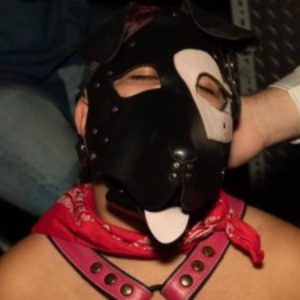 Profile picture of pupstarorion