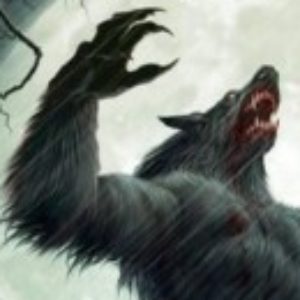 Profile picture of GreyWolfe